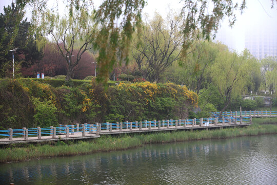 银河公园雾景