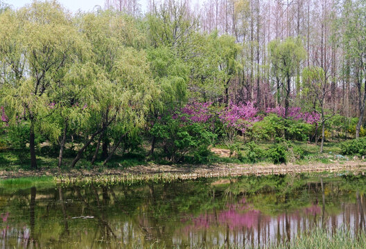 沙墩河公园风光