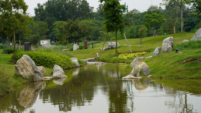 深圳光明区楼村湿地公园小溪风景