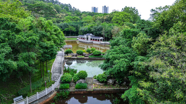 航拍深圳坪山燕子岭公园燕子湖