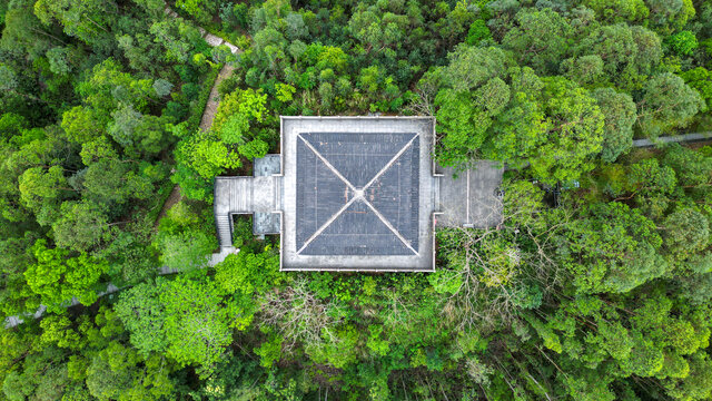 航拍深圳坪山区燕子岭公园春晖阁