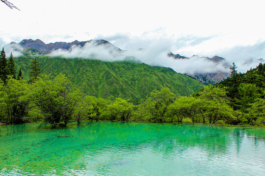 黄龙钙化池