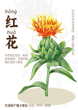 單株紅花中藥紅花