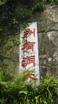 仙湖植物园别有洞天