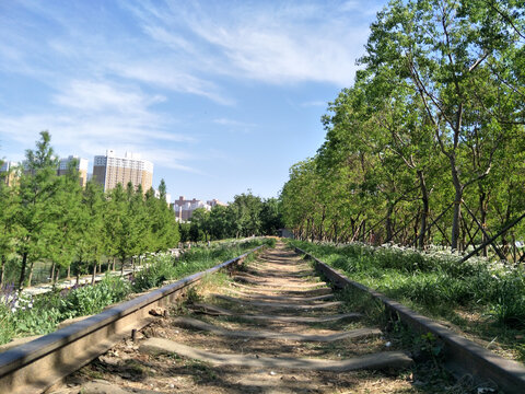 春天风景