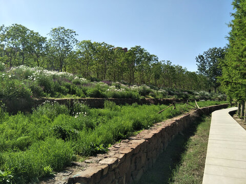 风景