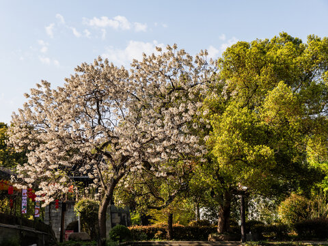 富阳龙门古镇