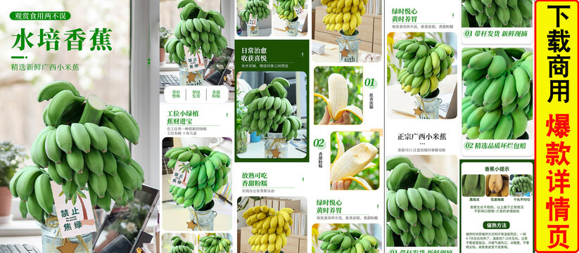 水培香蕉詳情頁
