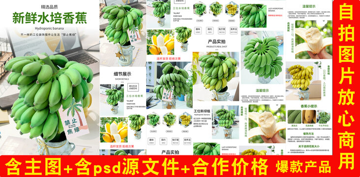 水培香蕉詳情頁(yè)