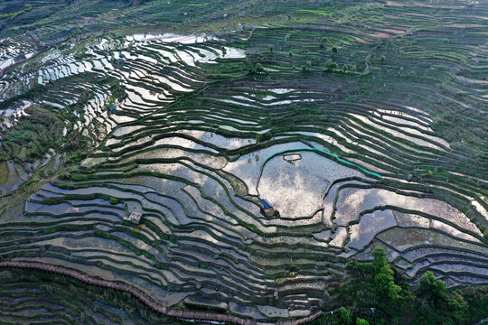 梯田风光