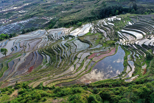 梯田风光