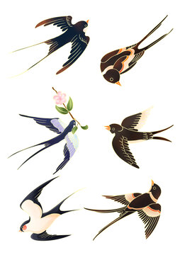创意手绘鸟燕子插画