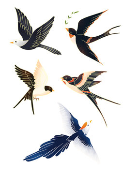创意手绘鸟燕子插画