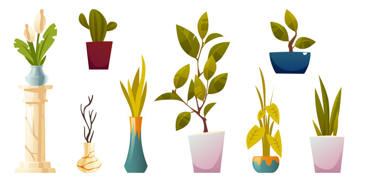 室內盆栽植物素材集合