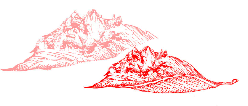 茶葉圖案山水圖案