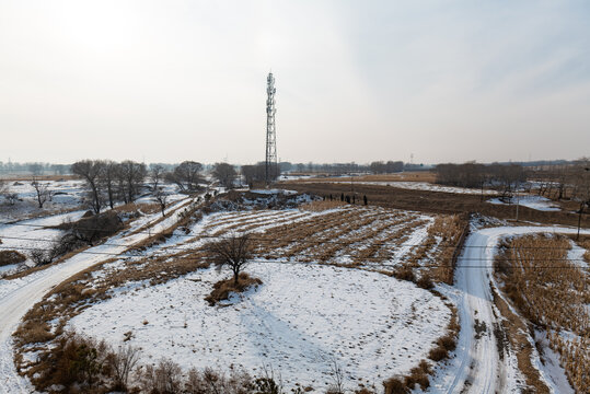 雪地