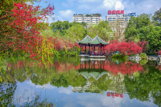 棠湖公园