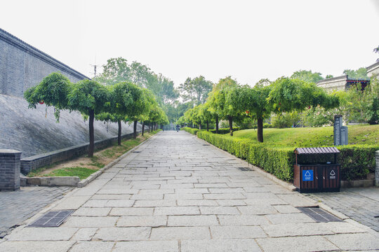 老龙头宁海城城墙石砖路树木