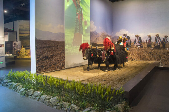西藏农耕文化