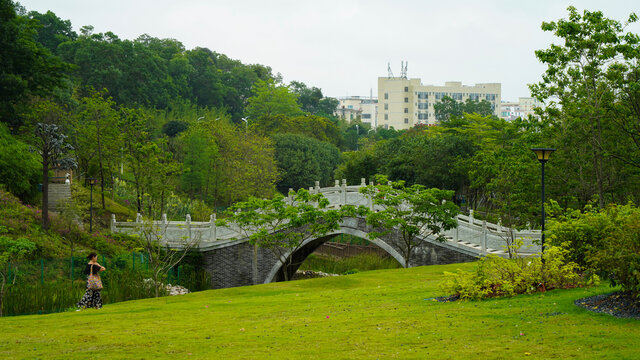 深圳簕杜鹃谷风景