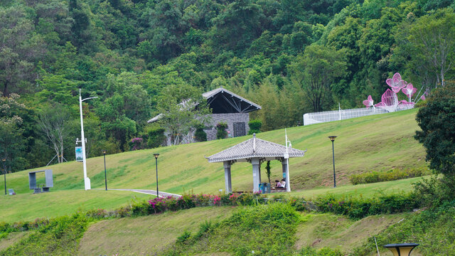 深圳簕杜鹃谷风景