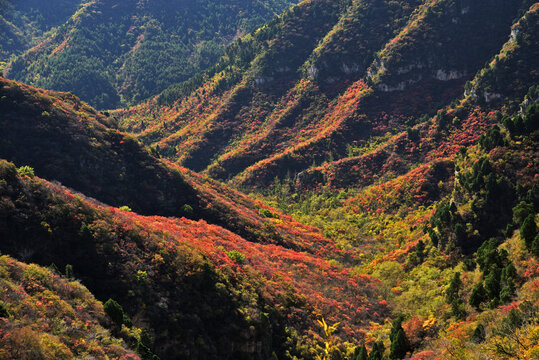 河北省石家庄市井陉县仙台山景区