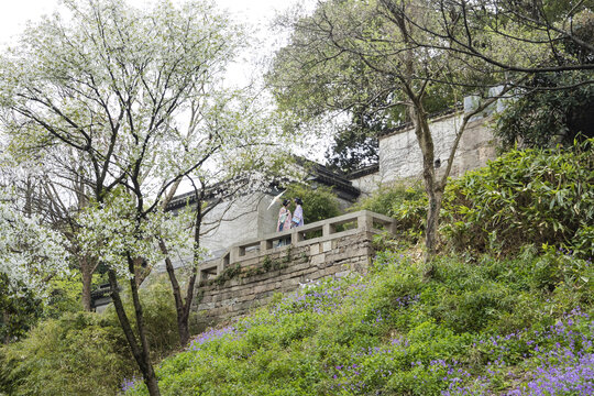 虎丘风景区