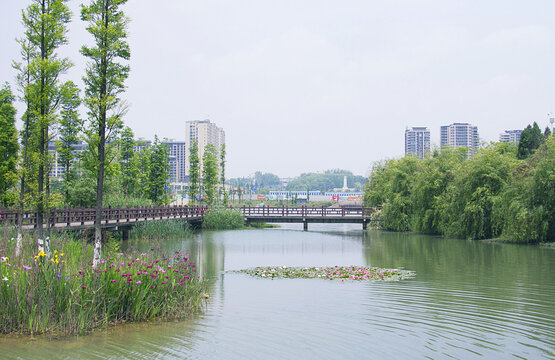 安顺娄湖景色美