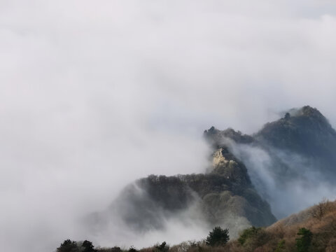 高山浮云