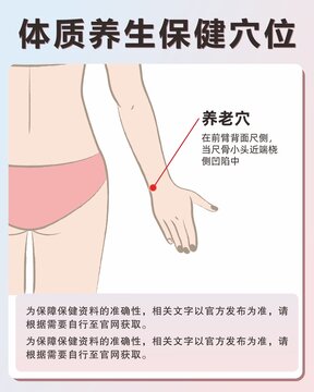 養(yǎng)老穴手繪保健穴位