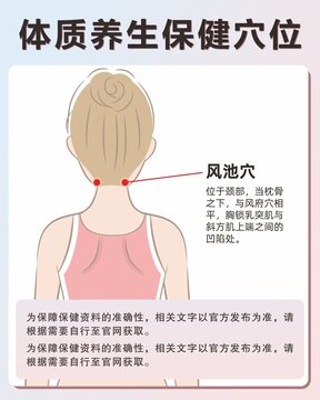 风池穴手绘保健穴位