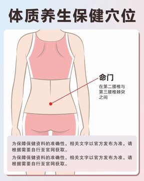 命门穴手绘保健穴位