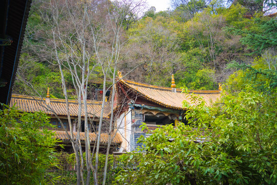 玉溪九龙池古建筑群景观