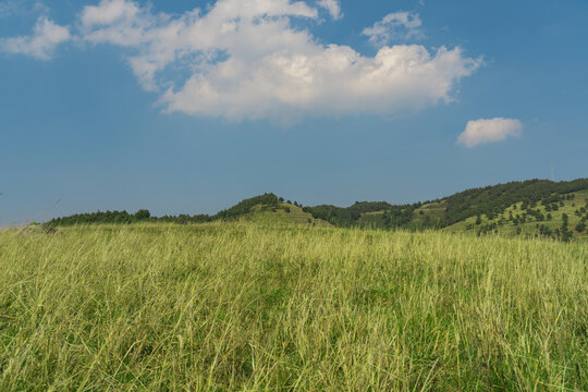 高山草甸蓝天户外风光