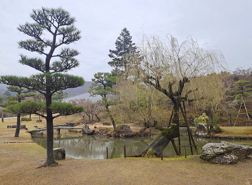 日本奈良神鹿公园