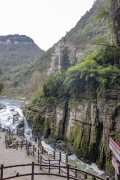 湖北利川腾龙洞