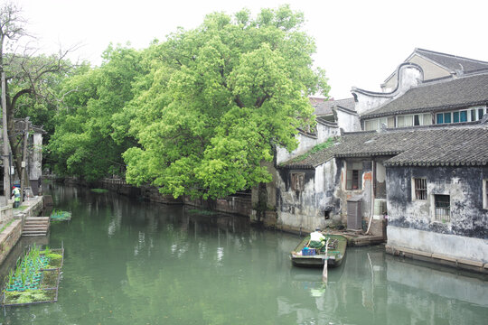 苏州芦墟古镇河景