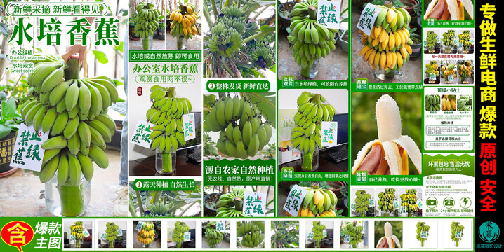 水培香蕉禁止蕉綠詳情頁主圖
