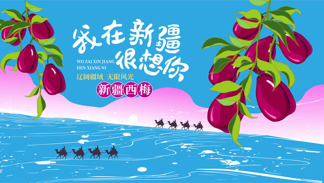 西梅包裝