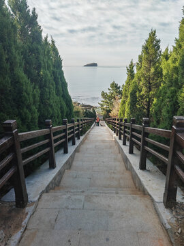 趕海