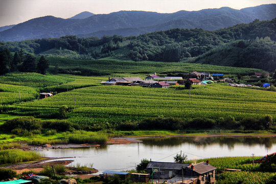 东北田野乡村辽河平原