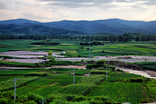 东北田野乡村