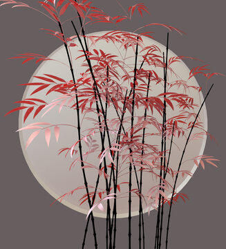 紅竹