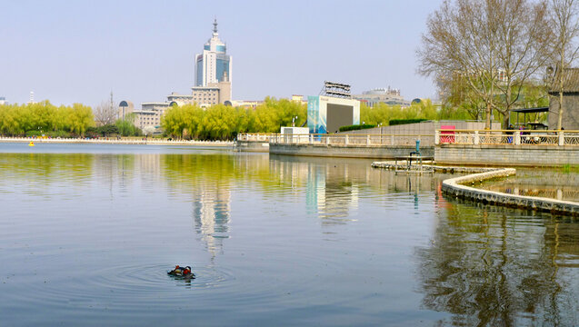 北京莲花池公园景观