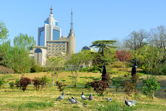 北京莲花池公园景观