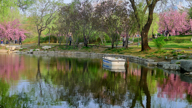 北京玉淵潭公園景觀