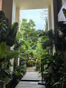 热带植物森林酒店