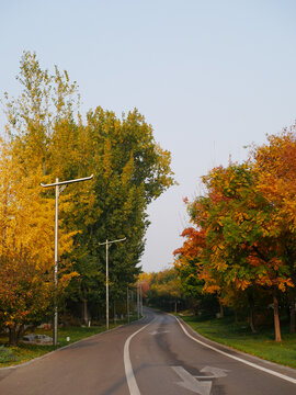 空旷的秋天街道