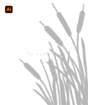 蘆葦
