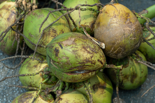 市场摊位出售椰子的高角度视角